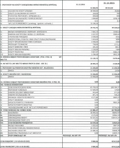 SPRAWOAZDANIE FINANSOWE 2017