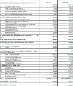 sprawozdanie finansowe 2017