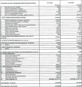 SPRAWOZDANIE FINANSOWE 20190001
